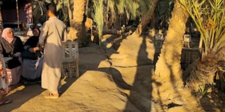 جزيرة فطناس بسيوة مقصد سياحي للاجانب لمشاهدة غروب الشمس - تليجراف الخليج
