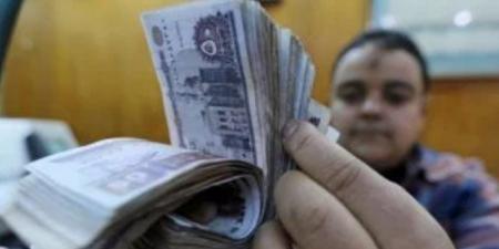 تعرف على موعد صرف مرتبات شهر يونيو 2025 للعاملين بالدولة - تليجراف الخليج