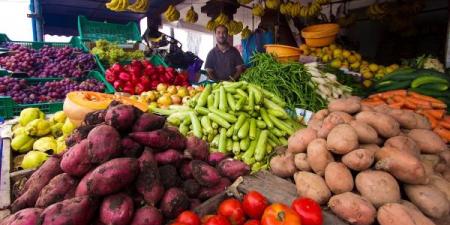 ارتفاع غير مسبوق في صادرات المغرب من الخضر والفواكه إلى إسبانيا - تليجراف الخليج