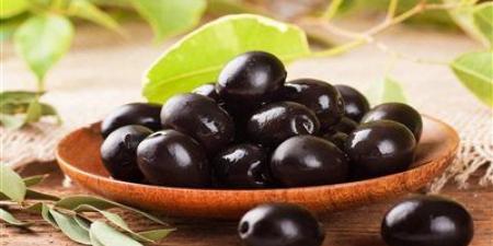 لحماية الأشجار.. الزراعة تصدر توصيات فنية لمزارعي لمزارعي الزيتون - تليجراف الخليج