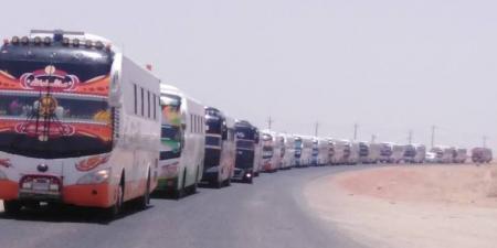 بصات مجانية من شيخ الأزهر لـ السودانيين - تليجراف الخليج