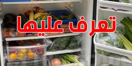 ماكلة تجم تولي سامة كي تحطها في الثلاجة - تليجراف الخليج
