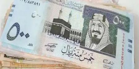 سعر الدولار مقابل الجنيه المصري اليوم الأحد 15-6-2025 - تليجراف الخليج