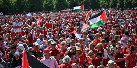 هولندا: 150 ألف متظاهر في لاهاي ضد حرب الإبادة بغزة - تليجراف الخليج