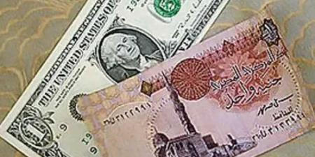 أسعار الدولار مقابل الجنية المصري اليوم الإثنين 16 يونيو 2025 - تليجراف الخليج