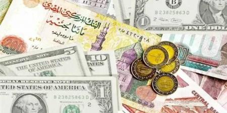 أسعار العملات العربية والأجنبية مقابل الجنية المصري اليوم الاثنين 16 يونيو 2025 - تليجراف الخليج