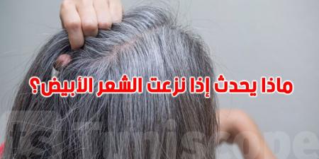 احذري نزع الشعر الأبيض: عادة شائعة قد تدمّر بصيلات شعركِ! - تليجراف الخليج
