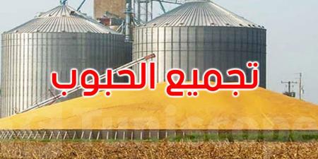 إلى حدود 15 جوان: تجميع حوالي 3.51 مليون قنطار من الحبوب - تليجراف الخليج