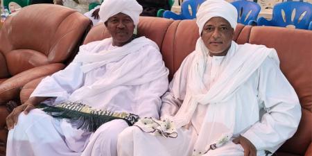 تصريحات سودانية من إنجمينا - تليجراف الخليج