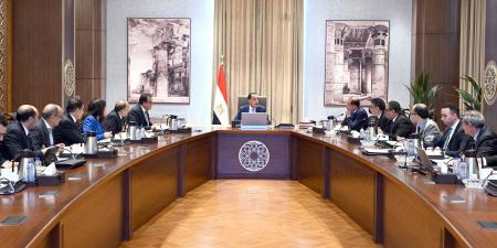 رئيس الوزراء يتابع موقف توفير الأدوية والمُستلزمات الطبية - تليجراف الخليج