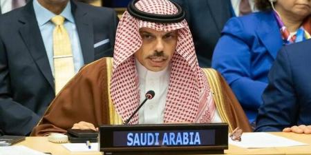 وزير الخارجية يصل إلى تركيا للمشاركة في اجتماعات منظمة التعاون الإسلامي - تليجراف الخليج