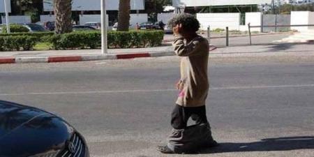 متشرد يتسبب في دهس "مقدَّم" بطنجة خلال حملة لتحرير الشارع العام - تليجراف الخليج