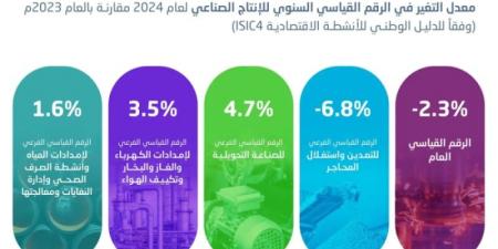 الإحصاء: ارتفاع الأنشطة غير النفطية بنسبة 5.3% خلال عام 2024 - تليجراف الخليج