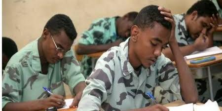 إيقاف طلبات إستخراج الشهادة الثانوية السودانية.. ما القصة؟ - تليجراف الخليج