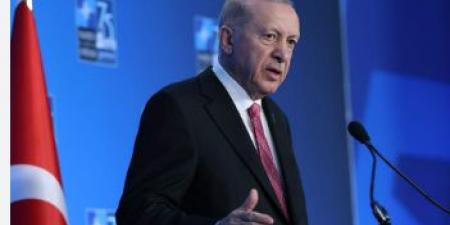 إردوغان: طلبت من ترامب التدخل بشأن استهداف منتظري المساعدات في غزة - تليجراف الخليج