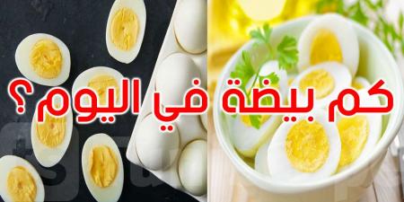 هل تعرف كم بيضة يجب أن تتناول يوميا؟ - تليجراف الخليج