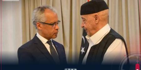 مجلس النواب يودع السفير الفرنسي بعد بحث قضايا حقوق الإنسان والأوضاع السياسية - تليجراف الخليج