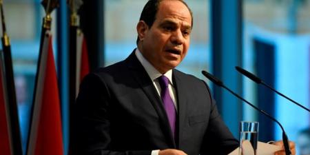 الرئيس السيسي: زيارة رئيس الصومال لمصر تجسد عمق الروابط الأخوية بين البلدين - تليجراف الخليج