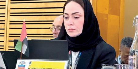 منى المري: التوازن بين الجنسين أولوية في رؤية قيادتنا الرشيدة - تليجراف الخليج