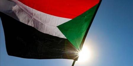 ورقة القمح.. مخطط أوكراني خطير يخنق السودان ويستهدف الجيش - تليجراف الخليج