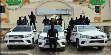فضيحة تهز البحر الأحمر.. ضبط شبكة تزوير يقودها ضباط - تليجراف الخليج