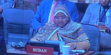 السودان يخطر منظمة حظر الأسلحة الكيميائية - تليجراف الخليج