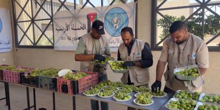 "الخيرية الهاشمية" توزع الفواكه على مرضى الكلى بمستشفى شهداء الأقصى في دير البلح - تليجراف الخليج