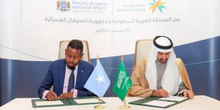 اتفاق سعودي–صومالي لتوظيف العمالة الصومالية في السعودية وحماية حقوقهم - تليجراف الخليج