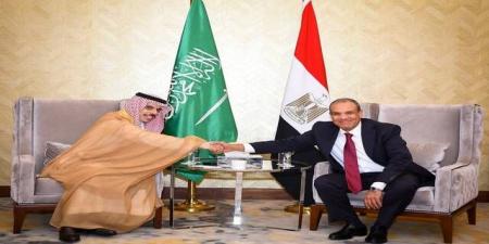 مصر والسعودية: رفض كامل لأي محاولات للإساءة للعلاقات التاريخية بين البلدين - تليجراف الخليج