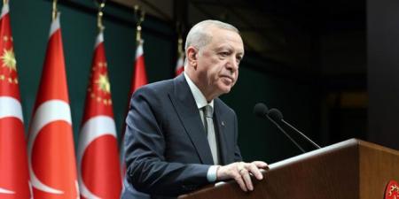 الرئيس أردوغان يجدد حرص بلاده على استتباب الأمن والاستقرار في سوريا - تليجراف الخليج