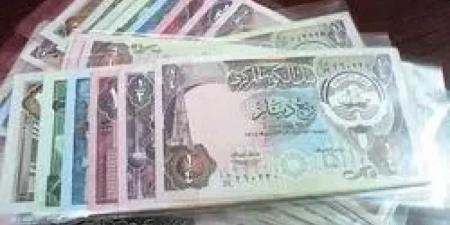أسعار الدينار الليبي مقابل الجنيه المصري اليوم الجمعة 18 -7- 2025 - تليجراف الخليج
