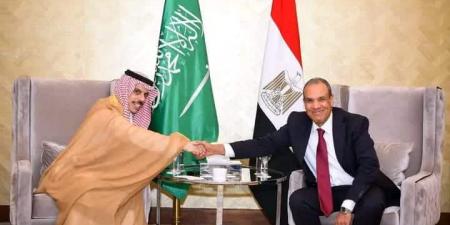 مصر والسعودية تناقشان تسوية الأزمة السودانية - تليجراف الخليج