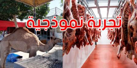 لحوم الإبل على طاولة المستهلك: اتفاقية لتعزيز الإنتاج والتوزيع - تليجراف الخليج