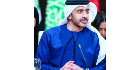 عبدالله بن زايد: نرحب بإعلان فرنسا عزمها الاعتراف بدولة فلسطين - تليجراف الخليج