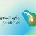 انطلاق الحملة الرقابية الشاملة العاشرة على محطات الوقود ومراكز الخدمة في 23 مدينة ومحافظة على مستوى المملكة - تليجراف الخليج