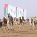 مهرجان المرموم.. ملحمة سنوية تُجسد الأصالة الإماراتية - تليجراف الخليج