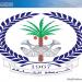 شرطة الشارقة تحذر من ترك المقتنيات الثمينة داخل المركبات - تليجراف الخليج