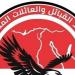 اتحاد القبائل والعائلات المصرية يحذر من كيانات وهمية تصدر كارنيهات باسمه دون صلة رسمية - تليجراف الخليج