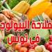 الفلاحة البيولوجية : صادرات تتجاوز المليار دينار ونسبة تفوق المعدلات العالمية - تليجراف الخليج