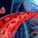 أطبّاء تونسيون يكشفون الأسباب الأولى للوفاة - تليجراف الخليج