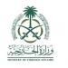 وزارة الخارجية: المملكة تُدين وتستنكر بأشد العبارات الهجوم الانتحاري على قاعدة زيرو دمايو العسكرية في مقديشو - تليجراف الخليج