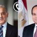 الرئيس السيسي يتلقى اتصالا هاتفيا من رئيس الوزراء الباكستاني شهباز شريف - تليجراف الخليج
