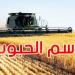 تقدم موسم تجميع الحبوب لصابة 2025: 682.190 ألف قنطار إلى غاية 2 جوان - تليجراف الخليج