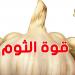 استعمالات الثوم المذهلة: من الكوجينة للدواء - تليجراف الخليج