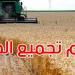 موسم الحبوب: تجميع4.572 مليون قنطار إلى غاية 18 جوان 2025 - تليجراف الخليج