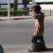 متشرد يتسبب في دهس "مقدَّم" بطنجة خلال حملة لتحرير الشارع العام - تليجراف الخليج
