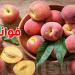 ''خوخة'' قبل ما ترقد؟ شوف آش يصير في بدنك وما كنتش تعرف - تليجراف الخليج