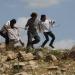 مستوطنون يسرقون مركبة فلسطيني غرب سلفيت - تليجراف الخليج