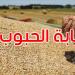 صابة الحبوب: تجميع حوالي 5,751 مليون قنطار...التفاصيل - تليجراف الخليج