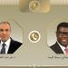 وزير الخارجية يؤكد اهتمام مصر البالغ بأمن واستقرار جنوب السودان - تليجراف الخليج